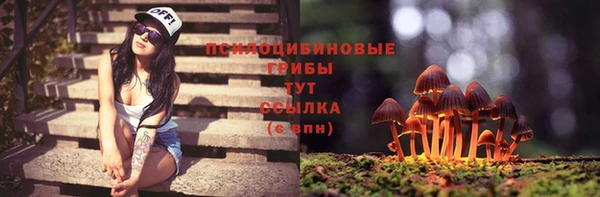 шишки Беломорск