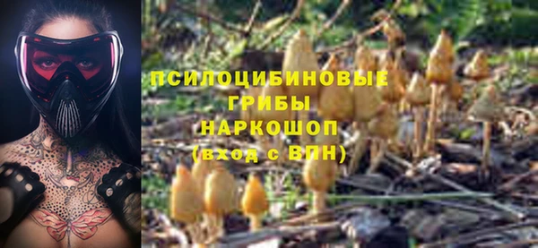 шишки Беломорск