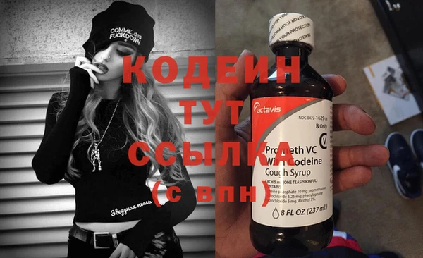 шишки Беломорск
