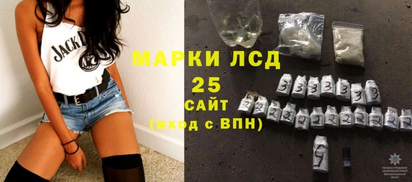 шишки Беломорск