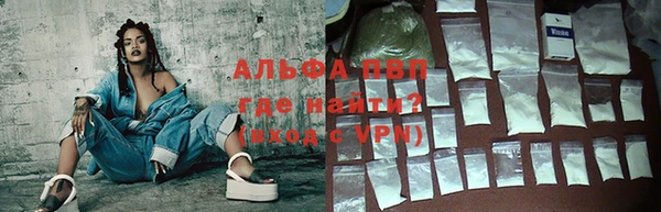 шишки Беломорск